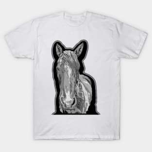 horse T-Shirt